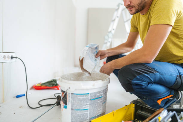 Best Basement Mold Removal  in St Lawrence, PA