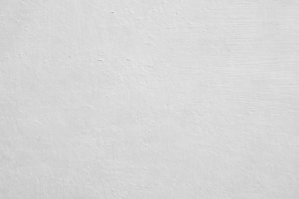 Best Attic Mold Removal  in St Lawrence, PA