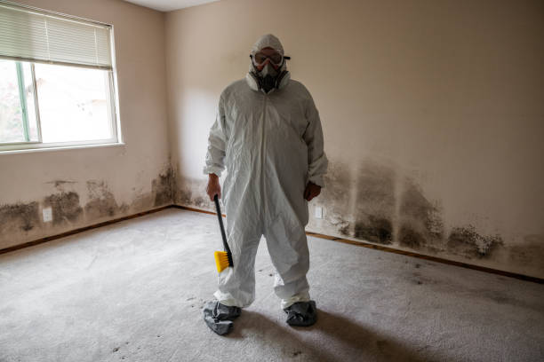 Best Commercial Mold Inspection  in St Lawrence, PA